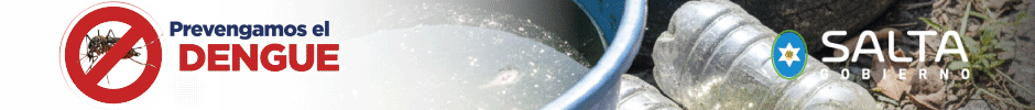 Banner publicitario